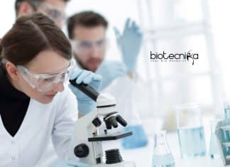 IIT Roorkee Associate Job With Rs. 54,000 pm Salary IIT Roorkee Associate Job