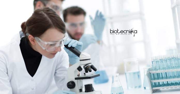 IIT Roorkee Associate Job