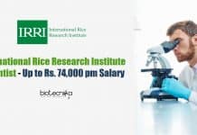 International Rice Research Institute Scientist – Up to Rs. 74,000 pm Salary IRRI Biotech Assistant Scientist