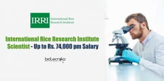 IRRI Biotech Assistant Scientist