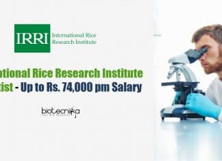 IRRI Biotech Assistant Scientist