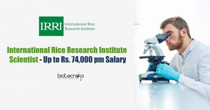 IRRI Biotech Assistant Scientist