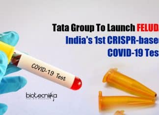Tata Group To Launch FELUDA – India’s First CRISPR-Based COVID-19 Test : Approved By DGCI India CRISPR-based COVID Test