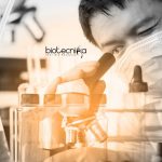 Indraprastha University Recruitment