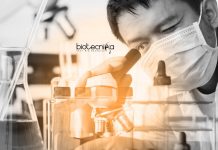 Indraprastha University Recruitment- JRF/SRF/RA Vacancy Indraprastha University Recruitment