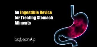 Ingestible Device for Stomach Ailments