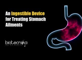 Ingestible Device for Stomach Ailments