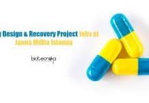 Drug Design & Recovery Project Jobs at Jamia Millia Islamia JMI Biological Sciences Jobs