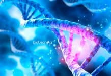 JNU Biophysics & Bioinformatics Research Fellowship Recruitment JNU Biophysics