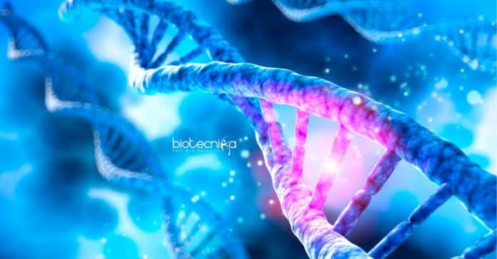 JNU Biophysics