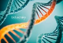 Life Science JRF Job Vacancy Available at Jadavpur University Jadavpur University JRF Job