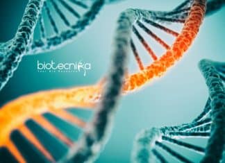 Jadavpur University JRF Job