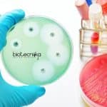 Jawaharlal Nehru University JRF/SRF Jobs – Life Science & Biotech Apply Jawaharlal Nehru University JRF/SRF