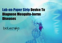 Mini Laboratory-on-Paper Strip Device To Diagnose Mosquito-Borne Diseases Lab-on-Paper Strip Diagnostic Device