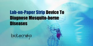 Lab-on-Paper Strip Diagnostic Device