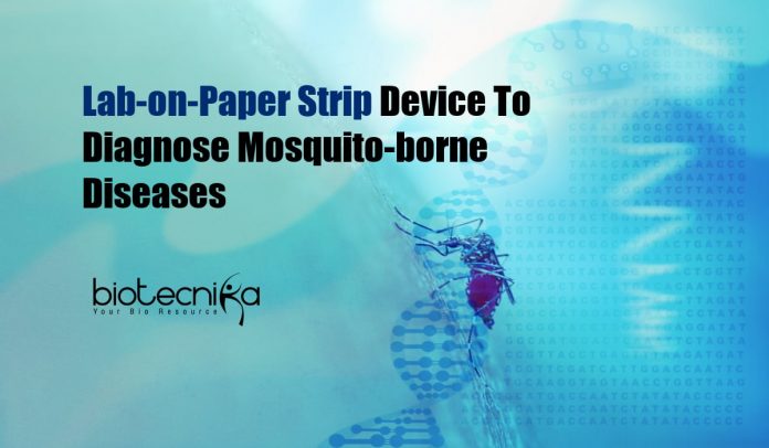 Lab-on-Paper Strip Diagnostic Device