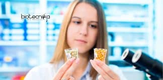 Life Science Junior Research