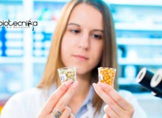 Life Science Junior Research Fellow Post at University of Calcutta Life Science Junior Research