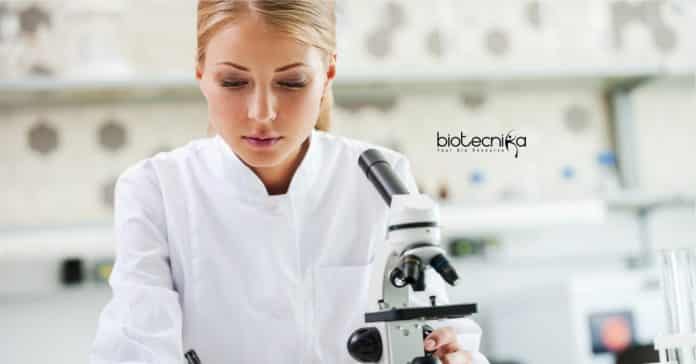 Life Sciences R&D
