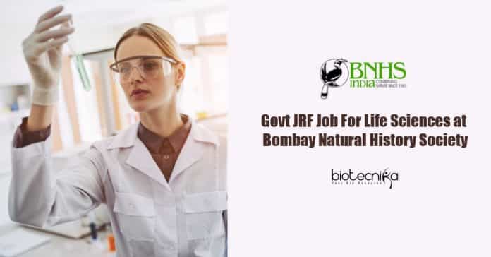 Lifesciences Jobs
