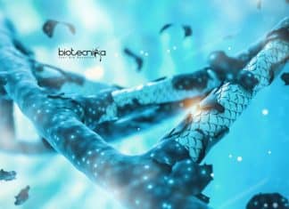 MAKAUT West Bengal Project