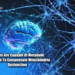 Metabolic Adaptation in Neurons