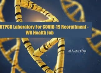 Molecular Biologist Vacancy