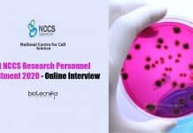 Govt NCCS Research Personnel Recruitment 2020 – Online Interview NCCS Pune Job Opening