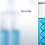 NEHU Junior Research Fellow