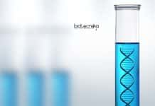 NEHU Junior Research Fellow Job Openings Available NEHU Junior Research Fellow