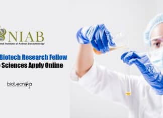 NIAB Biotech Research Fellow