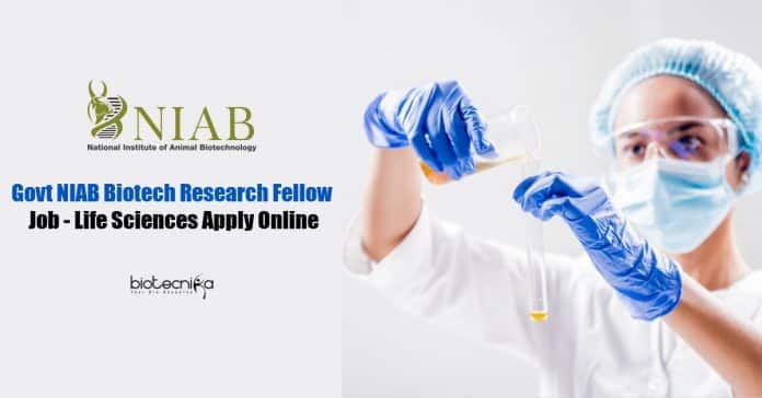 NIAB Biotech Research Fellow
