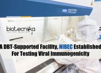 NIBEC DBT-supported Facility
