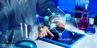 NIBMG Bioinformatics Engineer