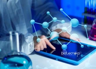 NIBMG Bioinformatics Engineer