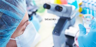 NIMHANS Bioinformatics Research Fellow