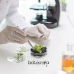 NIPGR Project Associate Jobs For Molecular Biology/ Biotech NIPGR Project Associate Jobs