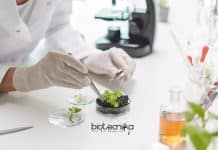 NIPGR Project Associate Jobs For Molecular Biology/ Biotech NIPGR Project Associate Jobs