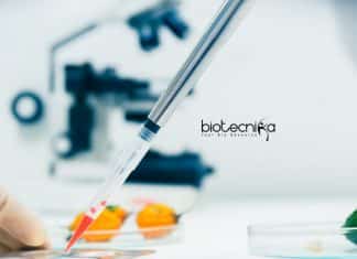NIPGR Research Jobs