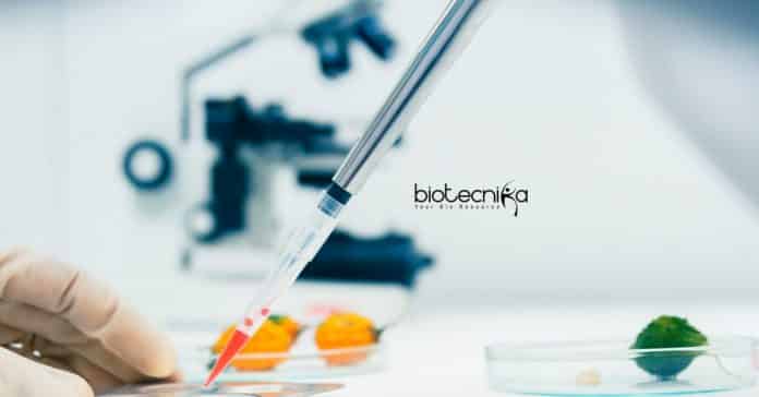 NIPGR Research Jobs