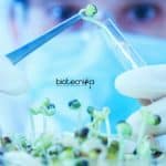 NIPGR Vacancies For Biotech