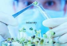 NIPGR Genome Engineering Project Job Openings for MSc/MTech/PhD NIPGR Vacancies For Biotech