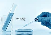 NIPGR Vacancy For Plant Science / Life Science / Biotech Research Jobs NIPGR Vacancy For Plant