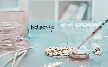 NIT Durgapur Job Opening – Junior Research Fellow Vacancy NIT Durgapur JRF