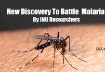 JNU Researchers Are Here With A New Discovery To Battle Malaria New discovery to battle malaria