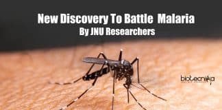 New discovery to battle malaria