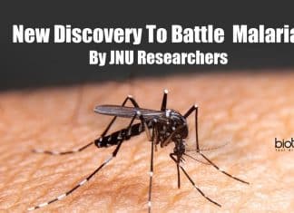 New discovery to battle malaria