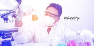 Novozymes Associate Job
