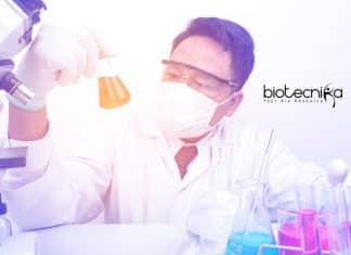 Novozymes Associate Job