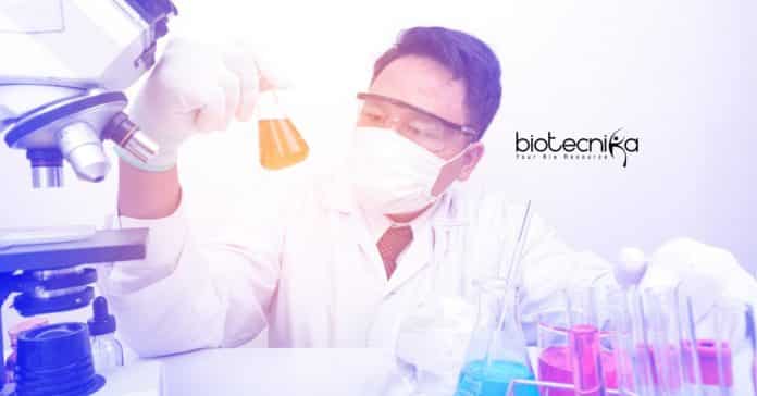 Novozymes Associate Job